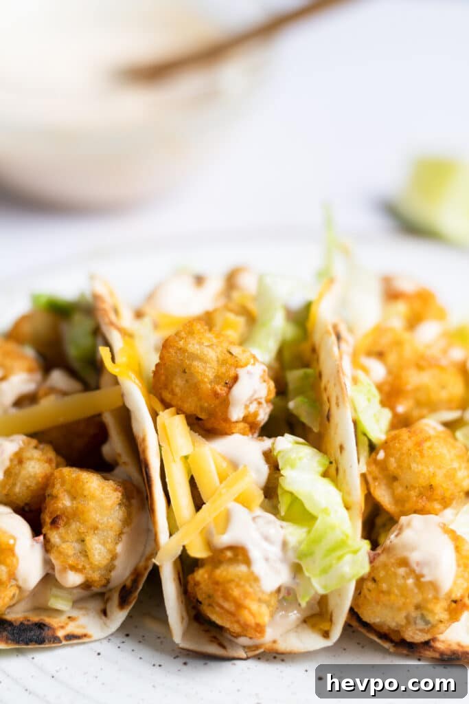 Spicy Potato Soft Tacos Recipe for Flavorful Weeknight Meals 2 Three spicy potato soft tacos with cheddar cheese, iceberg lettuce, tator tots and creamy chipotle sauce.