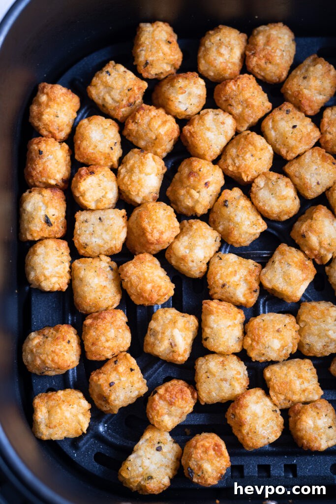 Spicy Potato Soft Tacos Recipe for Flavorful Weeknight Meals 5 Crispy tater tots in the basket of an air fryer