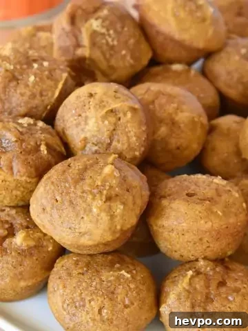 Mini Pumpkin Muffins.