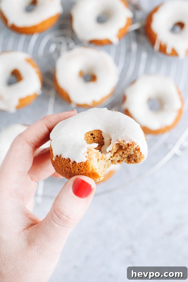 Mini Baked Gingerbread Donuts #vegan