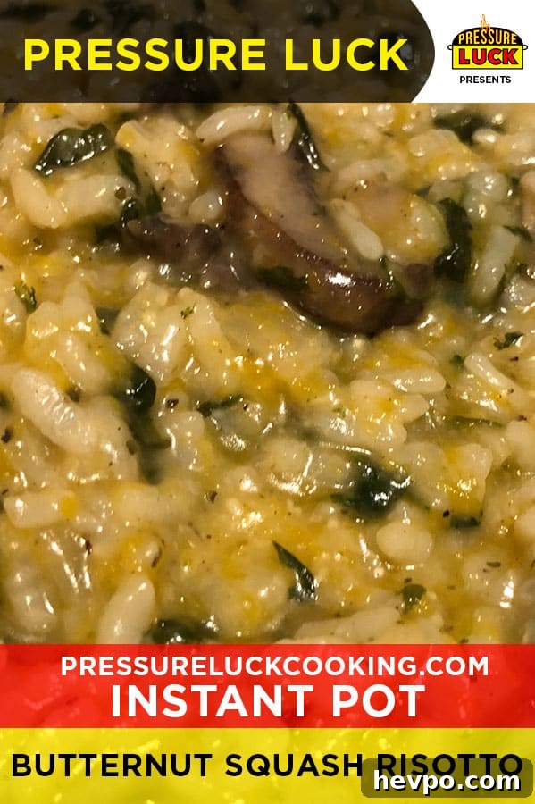 Creamy Instant Pot Butternut Squash Risotto Recipe 2 img 24012 1