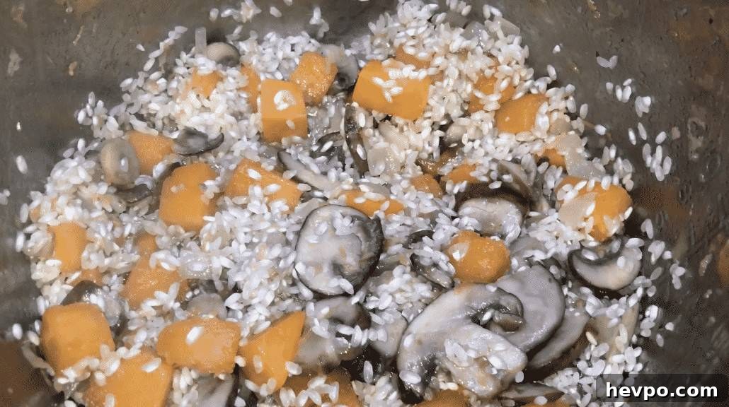 Creamy Instant Pot Butternut Squash Risotto Recipe 9 img 24012 17