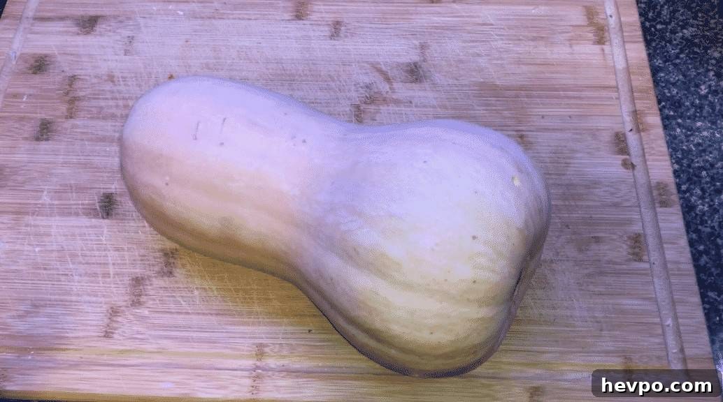 Creamy Instant Pot Butternut Squash Risotto Recipe 3 img 24012 2
