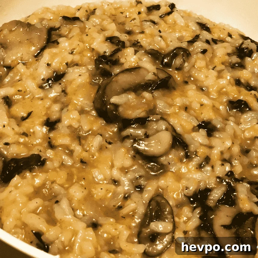 Instant Pot Butternut Squash Risotto