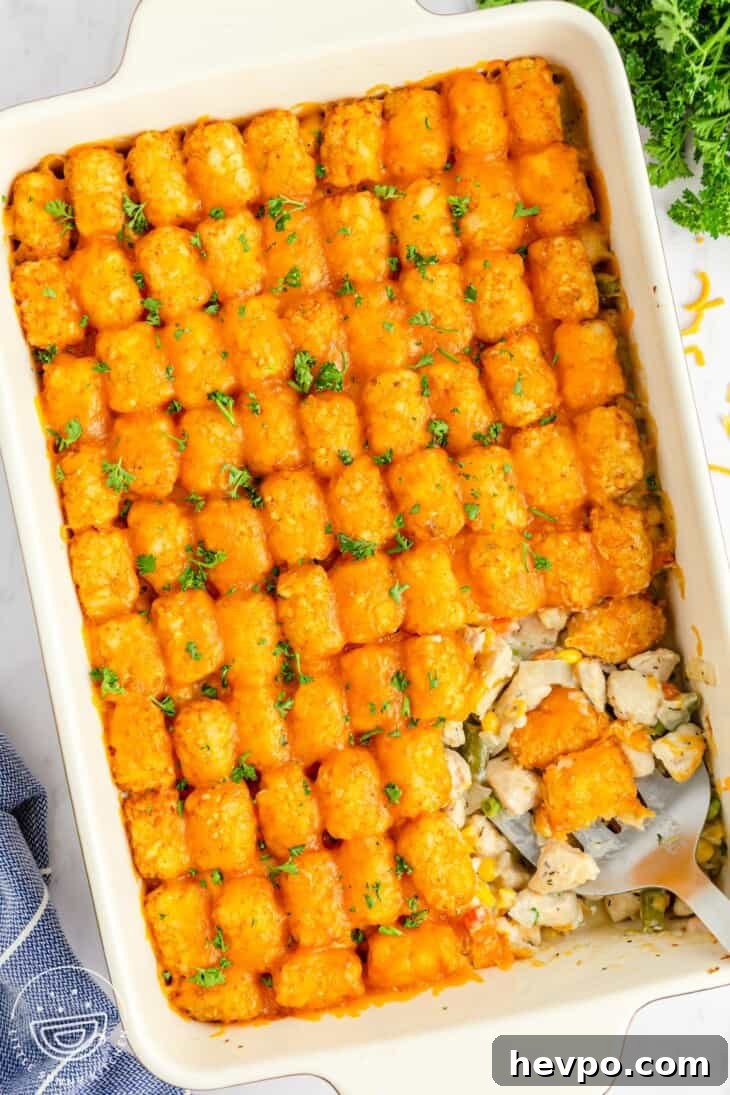 31 Quick Diced Chicken Recipes for Fast Weeknight Dinners 19 chicken tater tot casserole