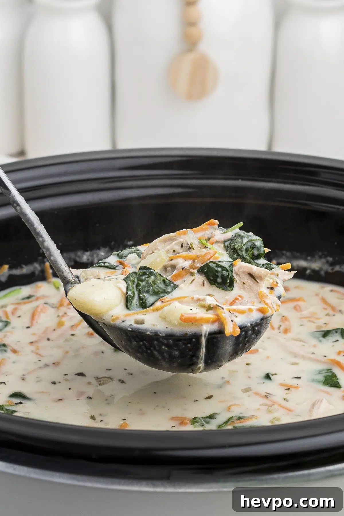 31 Quick Diced Chicken Recipes for Fast Weeknight Dinners 22 chicken gnocchi soup