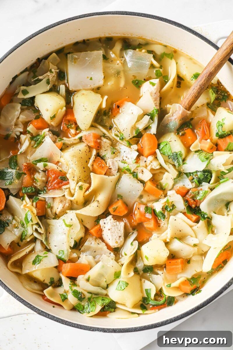 31 Quick Diced Chicken Recipes for Fast Weeknight Dinners 33 chicken noodle vegetable soup