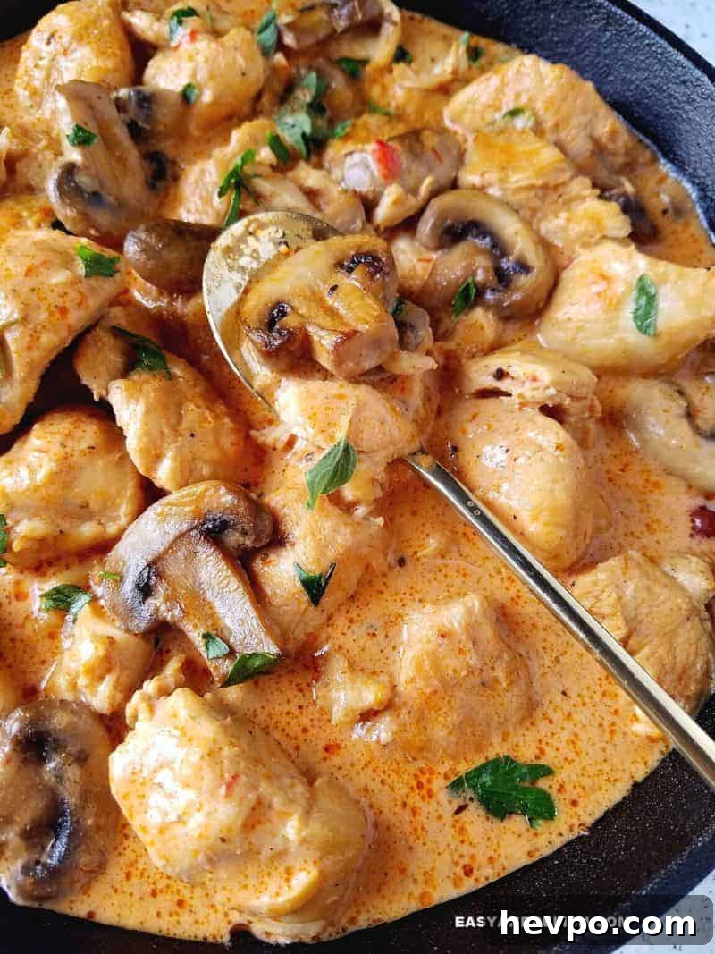 31 Quick Diced Chicken Recipes for Fast Weeknight Dinners 10 Brazilian chicken stroganoff