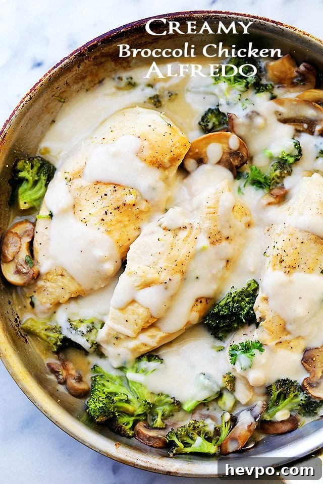 Creamy chicken Alfredo with broccoli in a skillet.