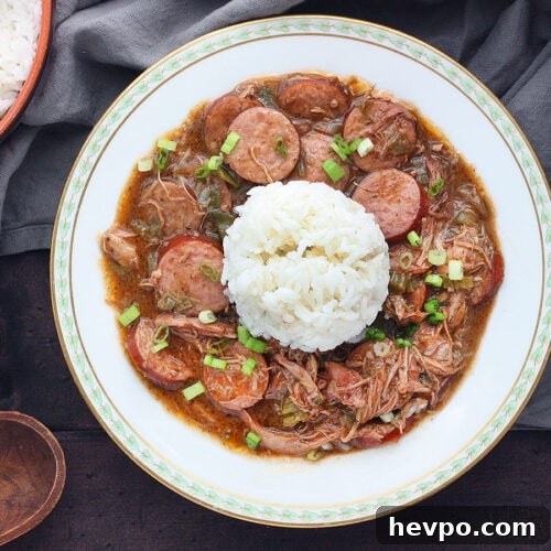 chicken and sausage gumbo with rice in a white bowl trimmed with green leaves