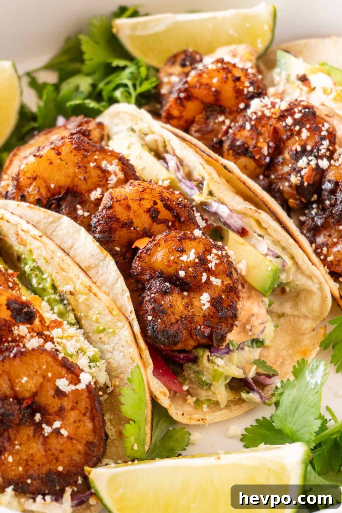 Spicy Blackened Shrimp Tacos with Avocado Lime Slaw 2 three shrimp tacos with cotija cheese sprinkled on top on white plate surrounded by cilantro leaves and lime wedges,