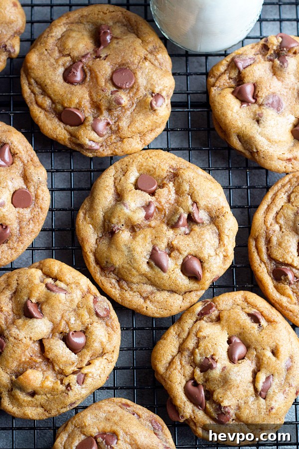 browned butter pumpkin chocolate cookies on a cooling rack