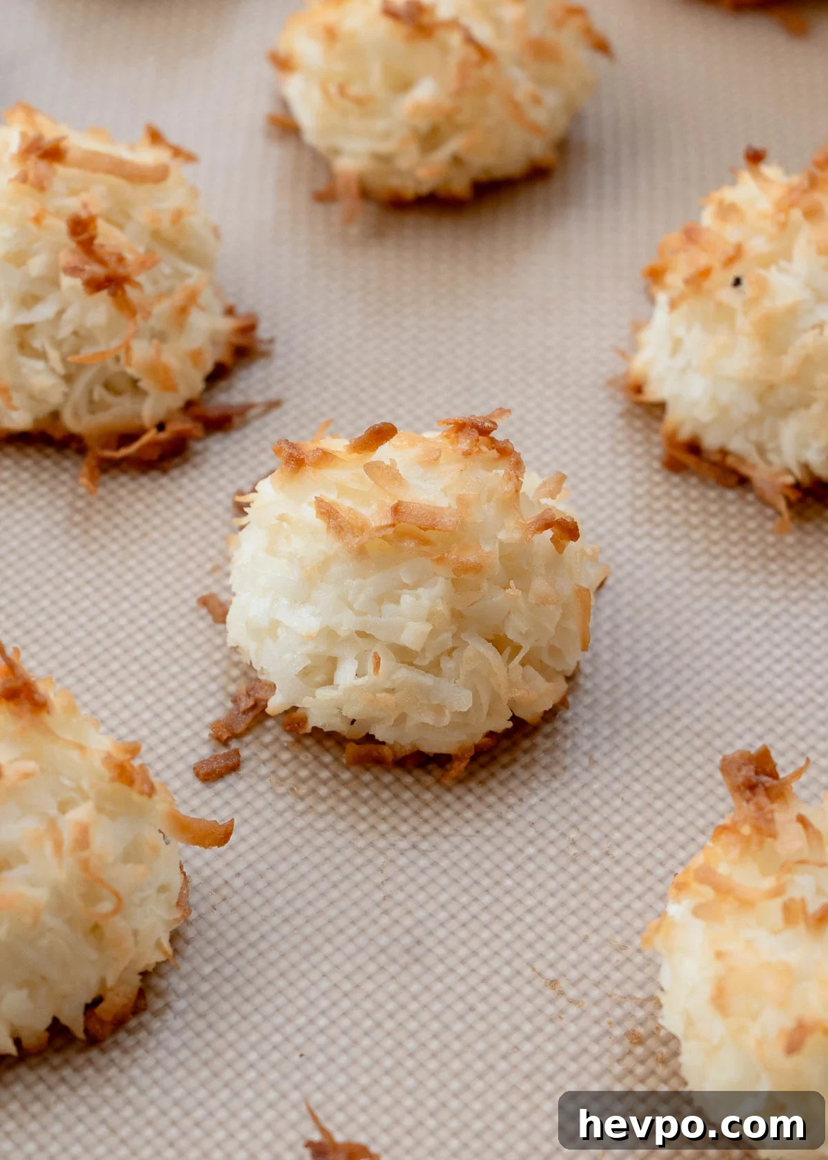 close up of coconut macaroons on cookie sheet