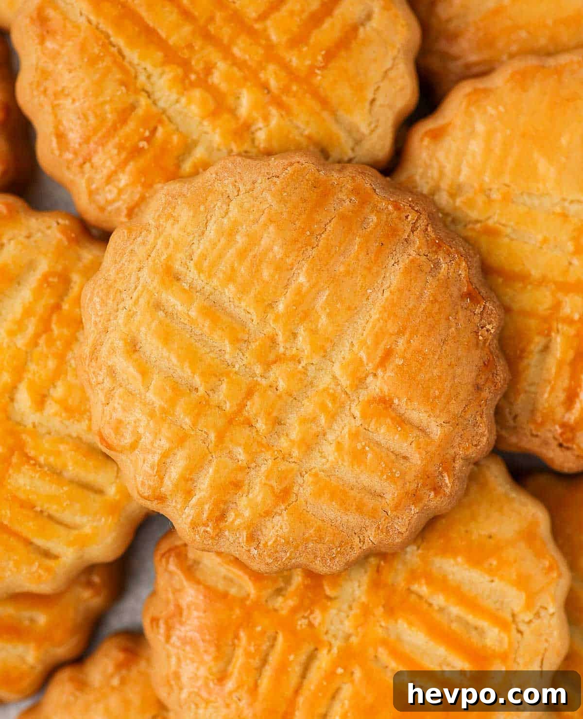 Classic French Sablés Bretons: Irresistible Salted Butter Cookies 5 Close up on one sablé cookie.