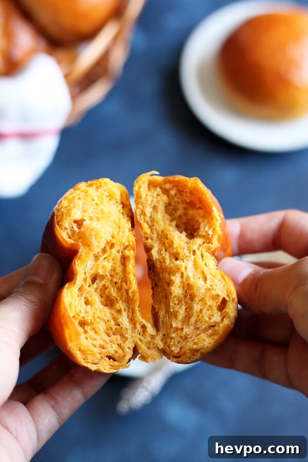 Soft and Fluffy Sweet Potato Dinner Rolls for Holiday Tables 5 These Sweet Potato Dinner Rolls are light and fluffy with a hint of warm cinnamon. They will make a wonderful addition to your holiday menu this season. | wildwildwhisk.com