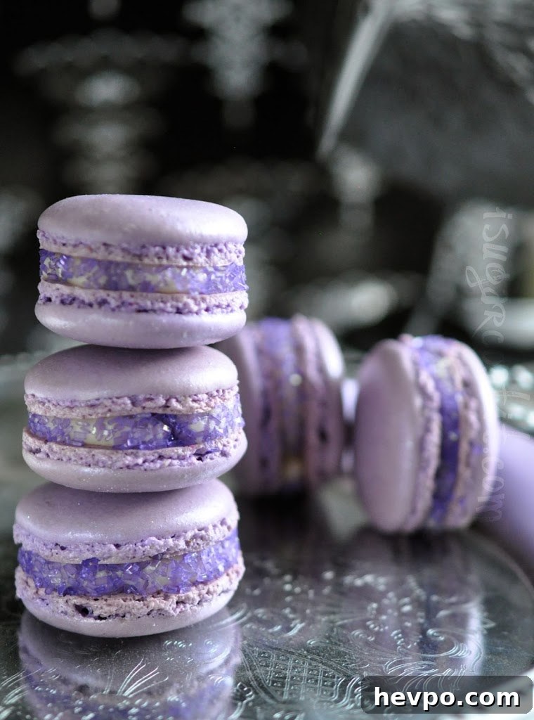 One Year Done: My Personal Year-in-Review and Highlights 5 Lavender Rose French Macarons