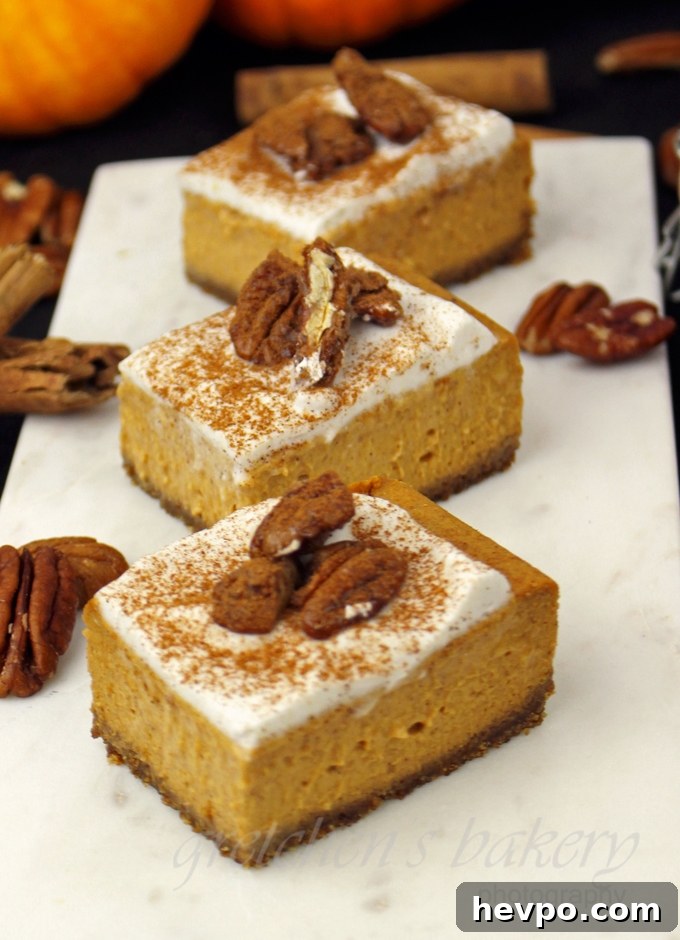 Vegan Pumpkin Pie Cheesecake Bars