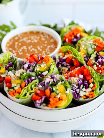 A bowl filled with rainbow rice paper rolls and peanut dipping sauce.