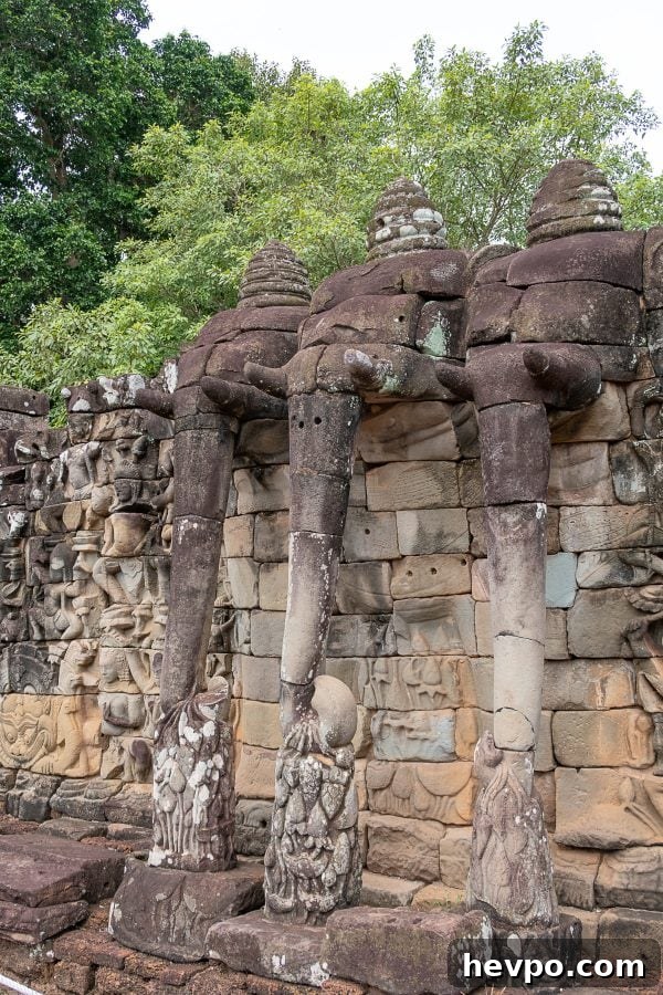What to do in Siem Reap Elephant What to do in Siem Reap Elephant