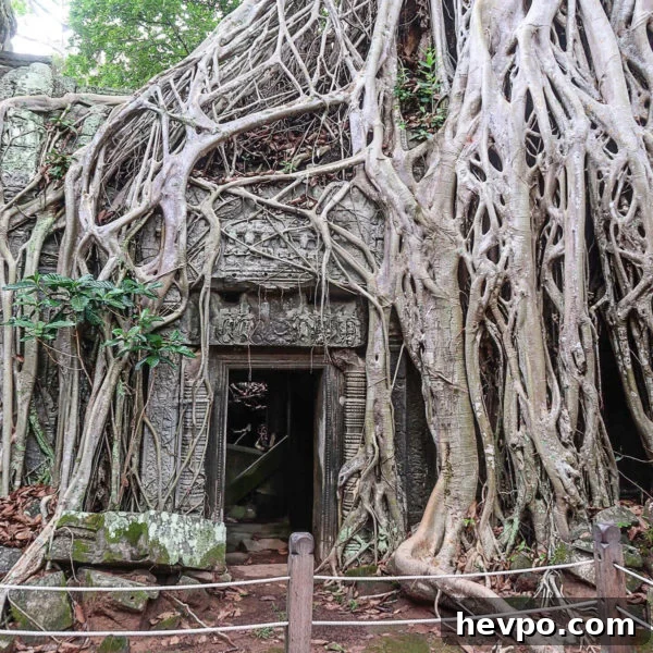 Cambodia 16 Cambodia 16