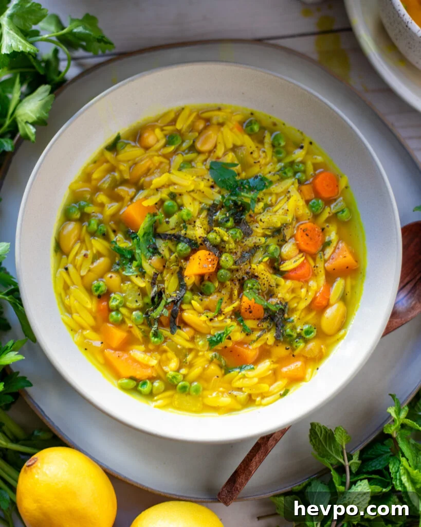 Zesty Lemon Orzo Soup Recipe for Comforting Weeknight Meals 2 Lemon Orzo Soup