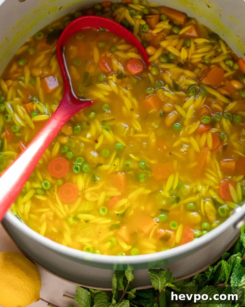 Zesty Lemon Orzo Soup Recipe for Comforting Weeknight Meals 3 image pot of lemon orzo soup