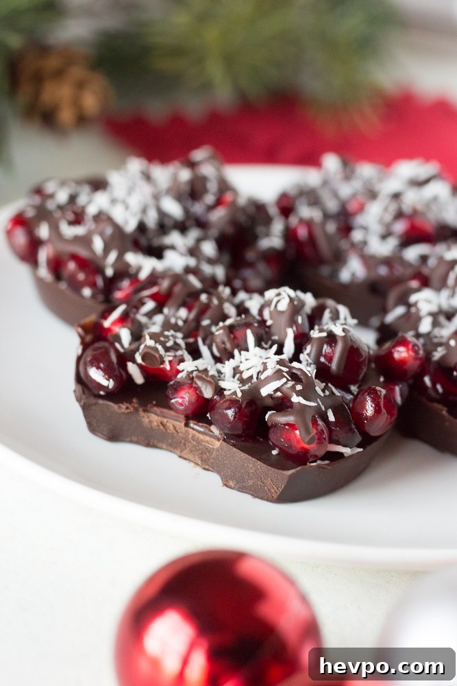 Chocolate covered pomegranate seeds