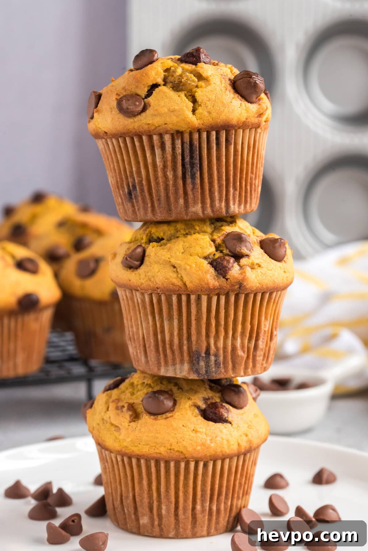 Chocolate Chip Pumpkin Muffins Recipe — Moist Fall Muffins 59 stack of Chocolate Chip Pumpkin Muffins