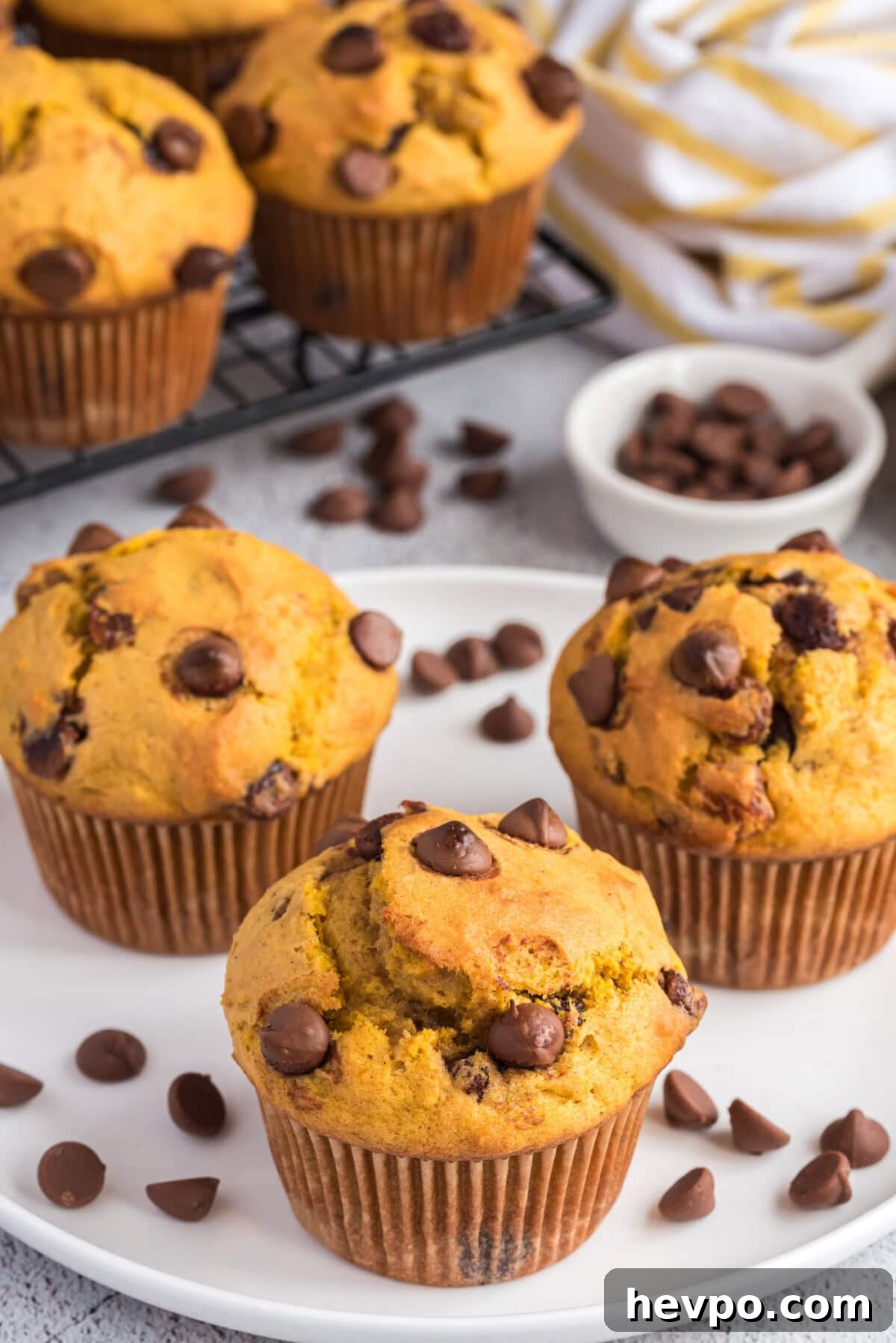Chocolate Chip Pumpkin Muffins on a plate