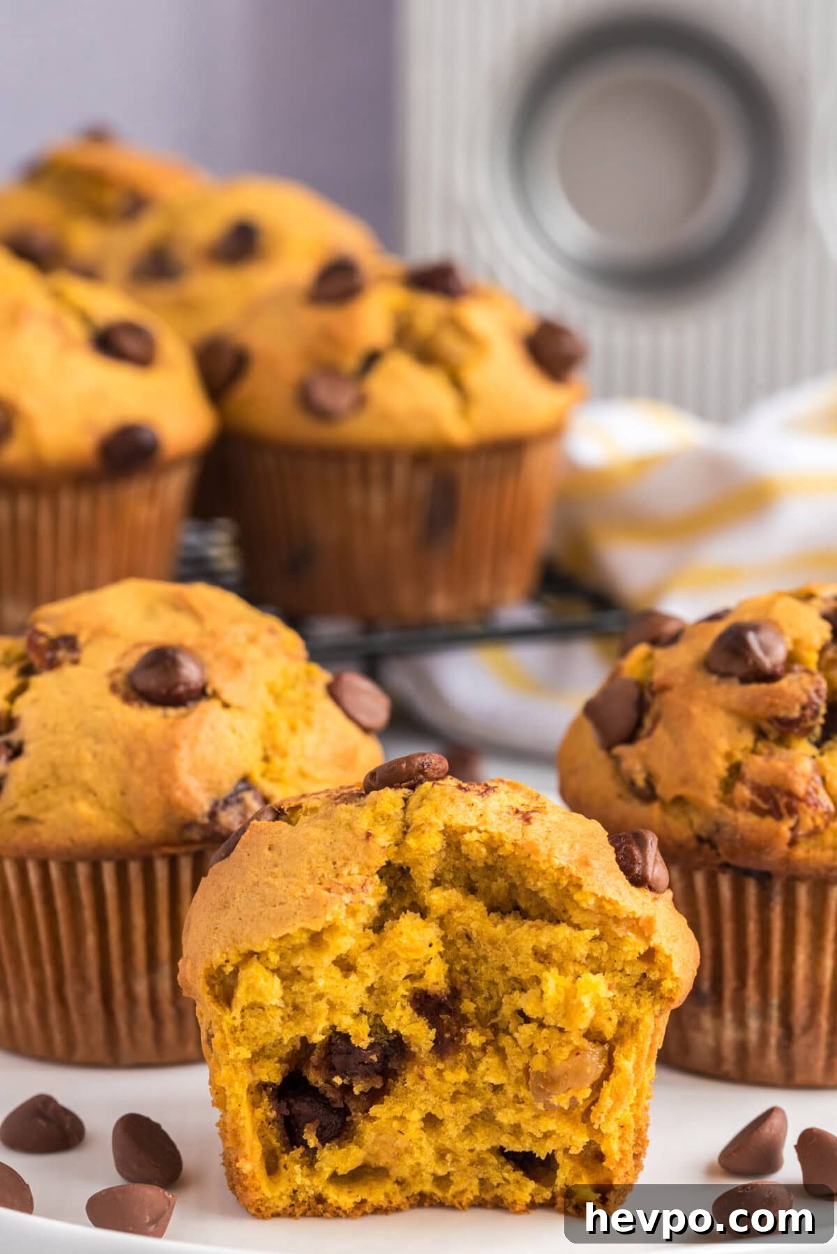 halved Chocolate Chip Pumpkin Muffin