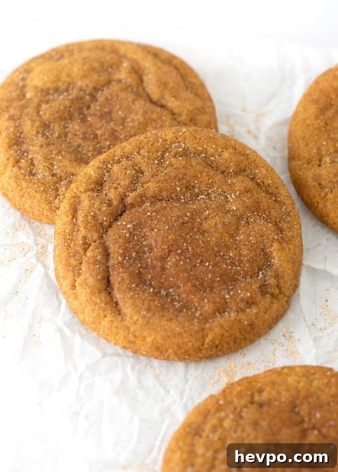 Soft Chewy Pumpkin Snickerdoodle Cookies 2 chewy pumpkin snickerdoodles