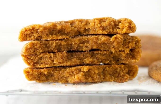 Soft Chewy Pumpkin Snickerdoodle Cookies 3 soft & chewy texture of pumpkin snickerdoodles