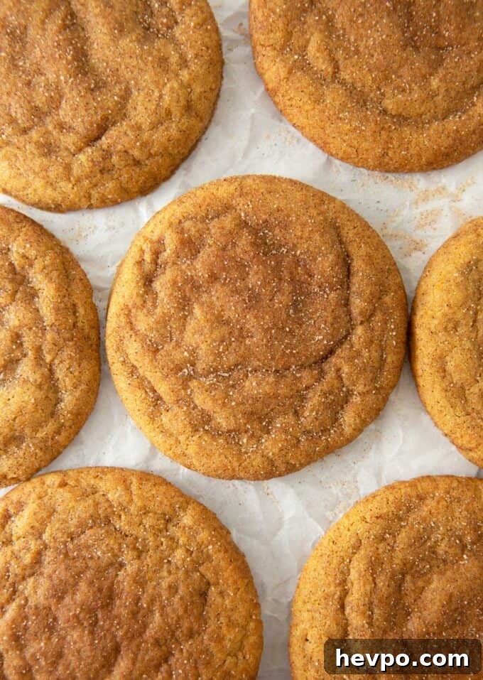 Soft Chewy Pumpkin Snickerdoodle Cookies 10 soft & chewy pumpkin snickerdoodles