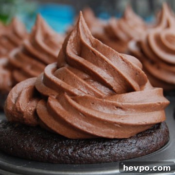 Decadent Chocolate Cupcakes with Rich Fudge Frosting 3 killa_chocolate_cupcakes