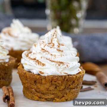 Decadent Chocolate Cupcakes with Rich Fudge Frosting 4 Impossible Pumpkin Pie Cupcakes with whipped cream on top