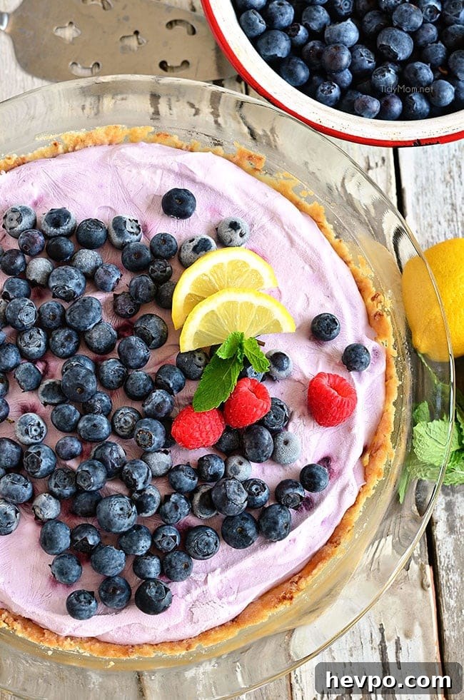 Overhead shot of Blueberry Yogurt Pie in pie plate