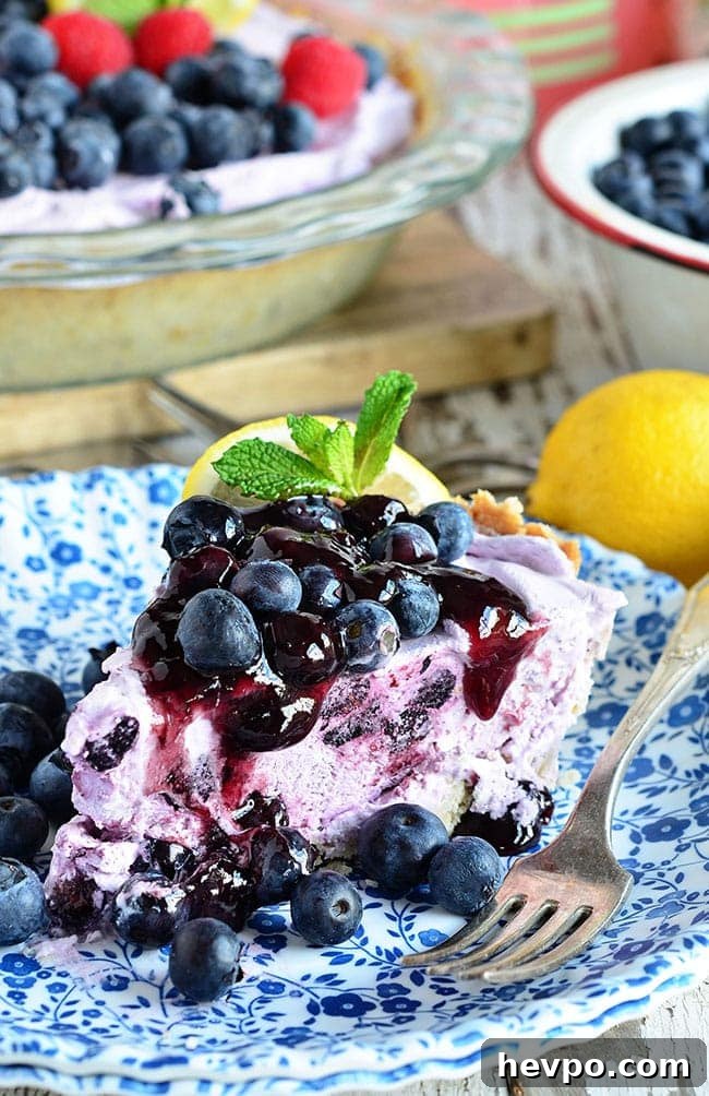 A piece of Blueberry Yogurt Pie on a plate