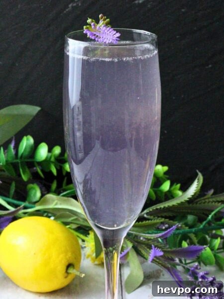 lavender french 75 recipe dinners done quick featured image