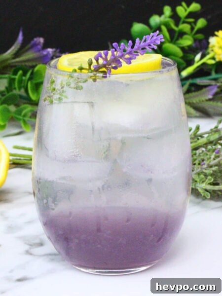 lavender spritz recipe dinners done quick featured image