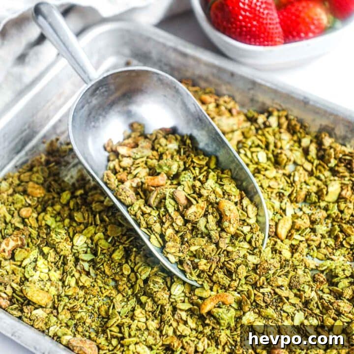 Green tea matcha granola with nuts and seeds scooped on a metal baking sheet.