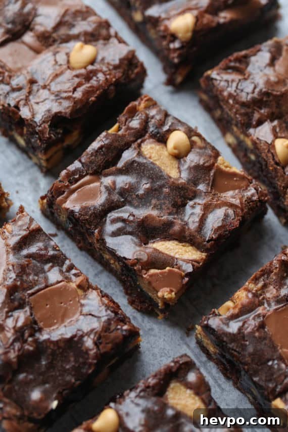 Peanut Butter Brownies Recipe