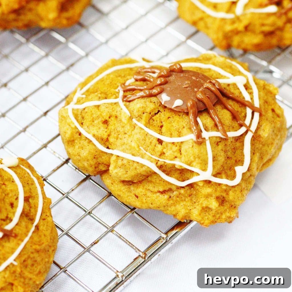 Spiced pumpkin cookies decorated with chocolate webs and spiders for Halloween