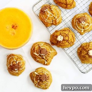 Spiced pumpkin cookies decorated with chocolate webs and spiders for Halloween