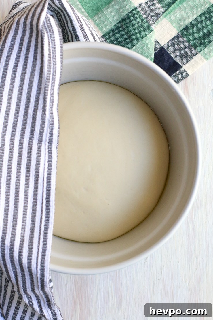 dough rising
