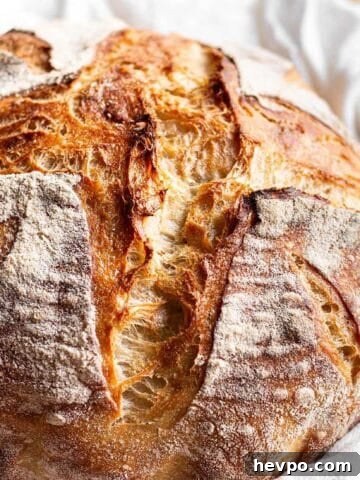 A loaf of homemade sourdough bread.