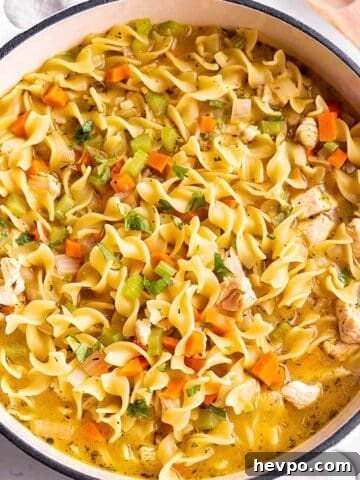 A white Dutch Oven full of a soup with noodles, carrots, celery and chicken.