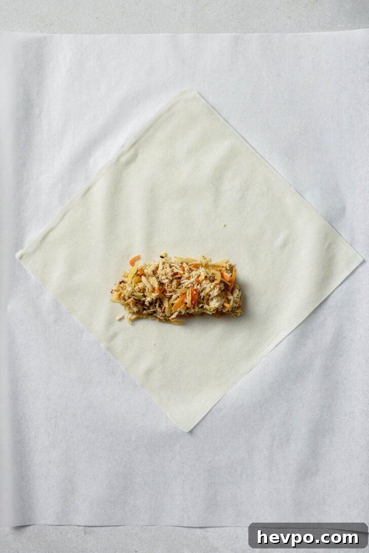 Filling place in bottom third of spring roll wrapper.