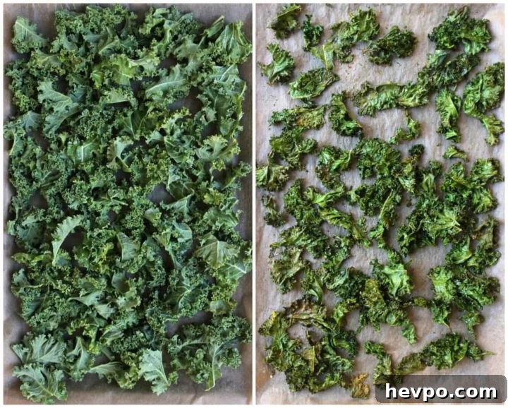 Crispy Oven-Baked Kale Chips Recipe for Snack Lovers 3 Tips for perfectly crispy kale chips!