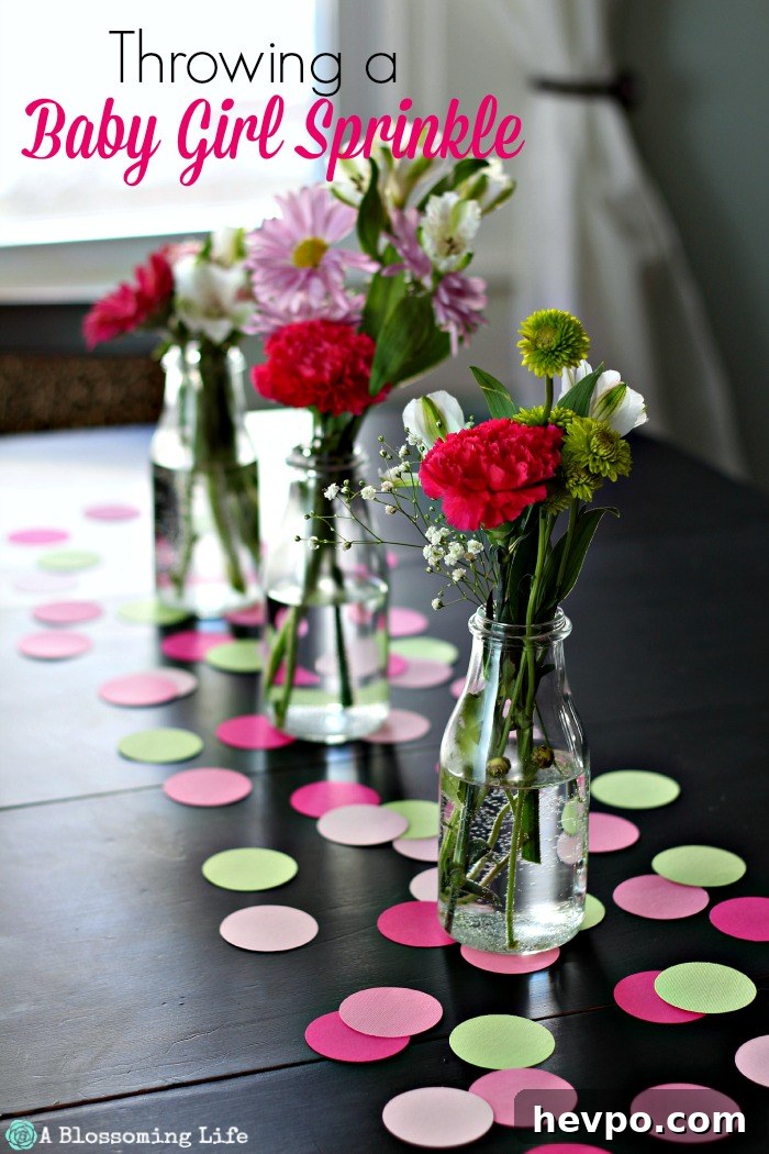 Pink and Gray Elephant Baby Shower Ideas & Decorations 10 Throwing a Baby Girl Sprinkle