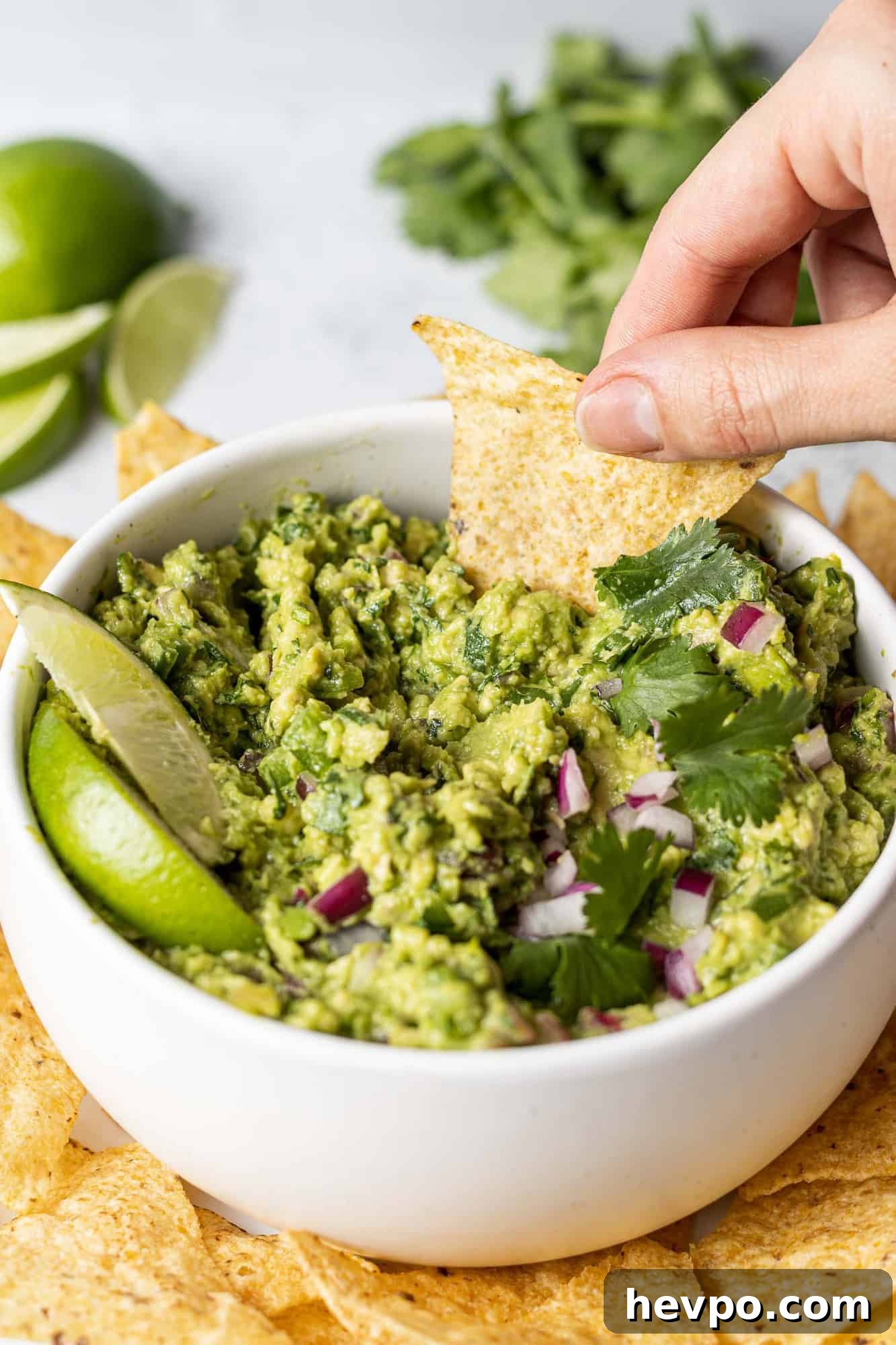 Chip being dipped into a bowl of guacamole.